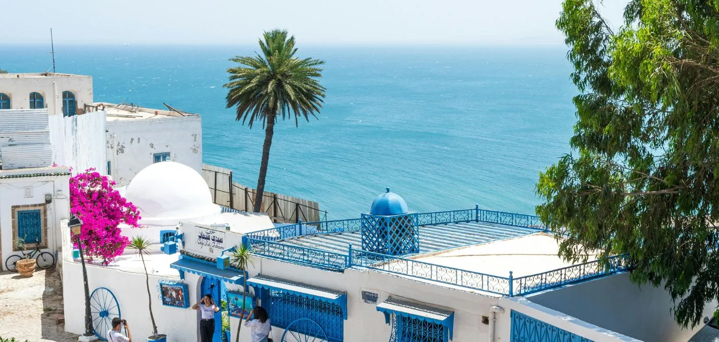 Vue de Tunis, Tunisie