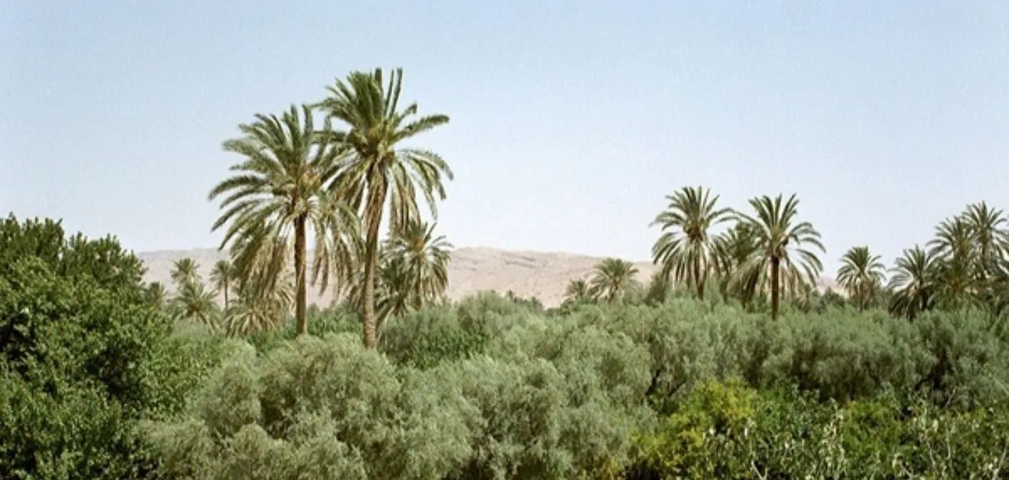 Gafsa, Tunisie, art de vivre et déplacements